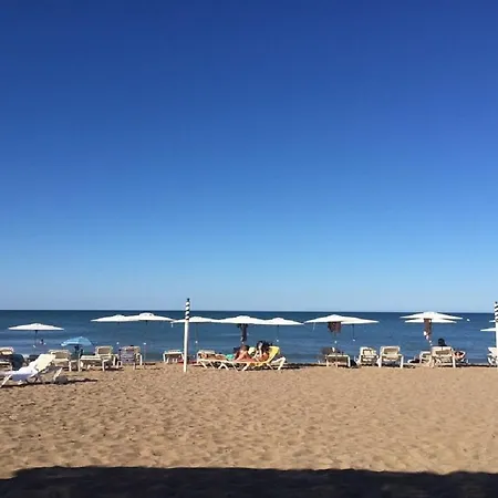 Blau-serviden Dénia